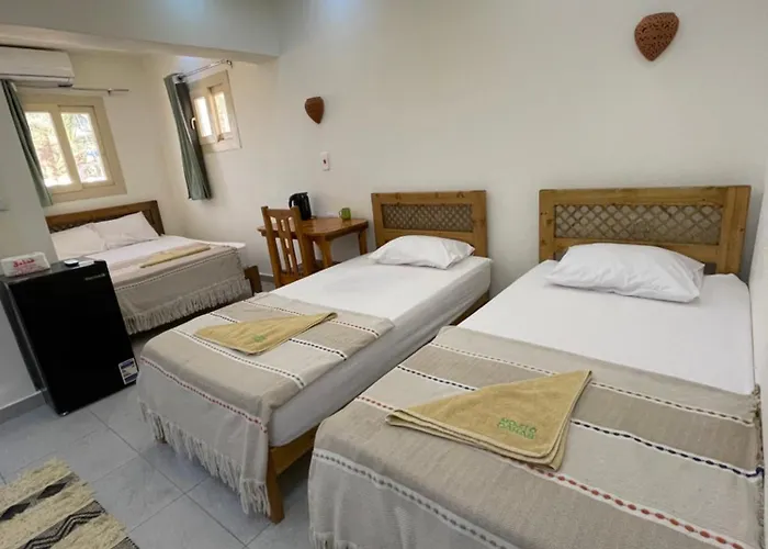Mojito Hotel
